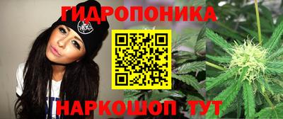 экстази Гатчина