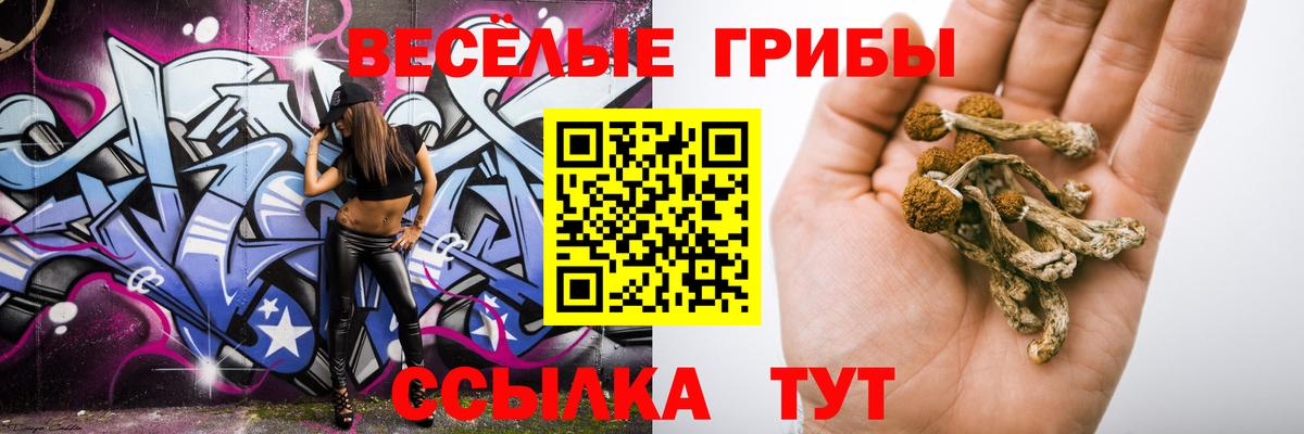 Галлюциногенные грибы Psilocybine cubensis Нижний Тагил